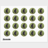 Lacquer Black German Shepherd Ronde Sticker (Vel)