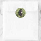 Lacquer Black German Shepherd Ronde Sticker (Tas)