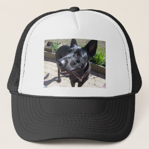 Lacquer Black German Shepherd Trucker Pet