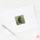 Lacquer Black German Shepherd Vierkante Sticker (Envelop)