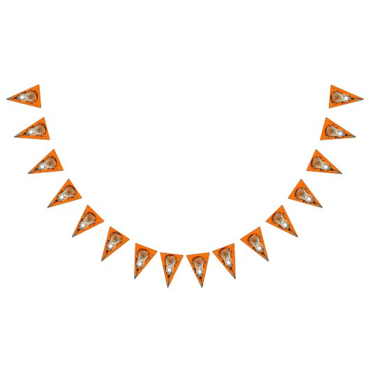 Lacrosse Party Oranje Vlaggetjes (Alle)