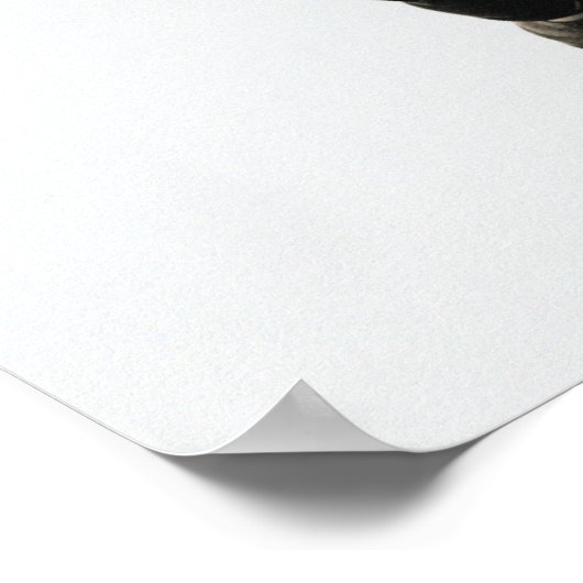 Lacrosse Player 3 Poster (Hoek)