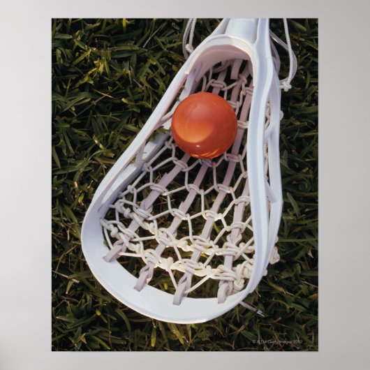 Lacrosse Stick en Ball Poster (Voorkant)