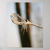 Lacrosse Stick Poster (Voorkant)