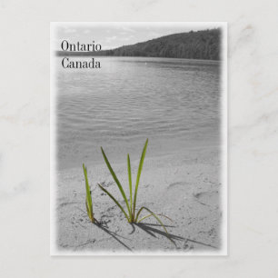 Lacs de l'Ontario, Canada Carte postale Noir et bl