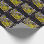 Lactoria cornuta cadeaupapier (Hoek)