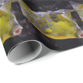 Lactoria cornuta cadeaupapier (Rol Hoek)