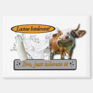 Lactose Intolerant? Just Tolerate It Magneet