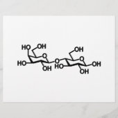Lactose Melkstructuur Flyer (Voorkant)