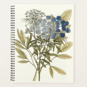 Lacy Feuilles - Fleurs et verdure