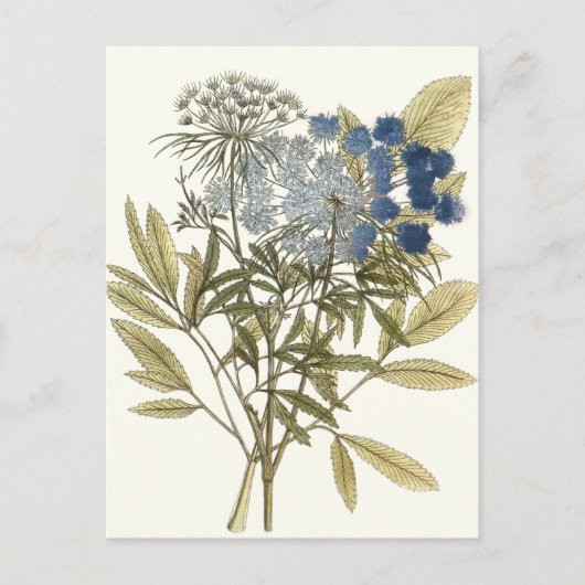 Lacy Leaves - Flowers en Greenery Briefkaart (Voorkant)