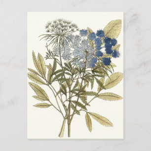 Lacy Leaves - Flowers en Greenery Briefkaart