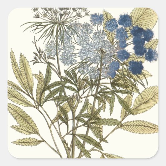Lacy Leaves - Flowers en Greenery Vierkante Sticker (Voorkant)
