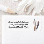 Ladder-Backed Woodpecker Etiket (Insitu)