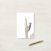 Ladder-Backed Woodpecker Post-it® Notes (Op bureau)