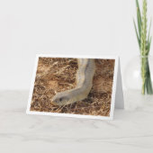 Ladder Snake Kaart (Voorkant)