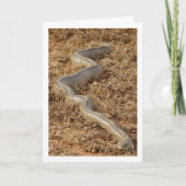 Ladder Snake Kaart (Voorkant)