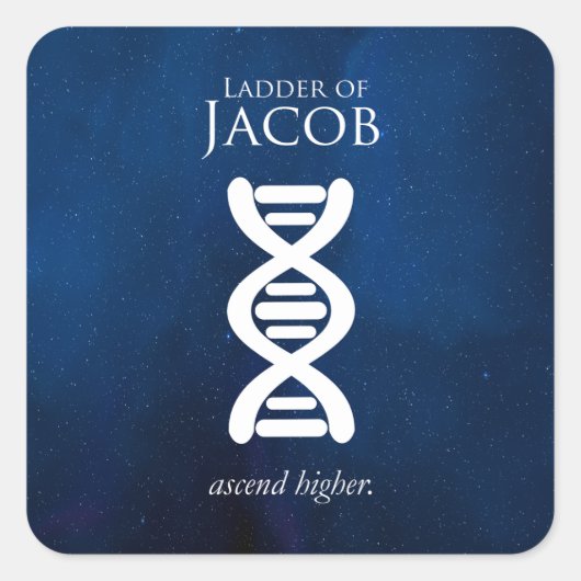 Ladder van Jacob Sticker (Voorkant)