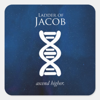 Ladder van Jacob Sticker