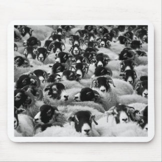 LADEN Ram Sheep Black en White Muismat