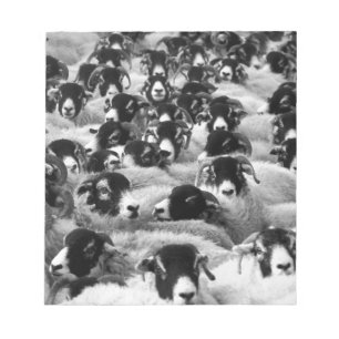 LADEN Ram Sheep Black en White Notitieblok