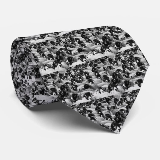 LADEN Ram Sheep Black en White Stropdas (Opgerold)