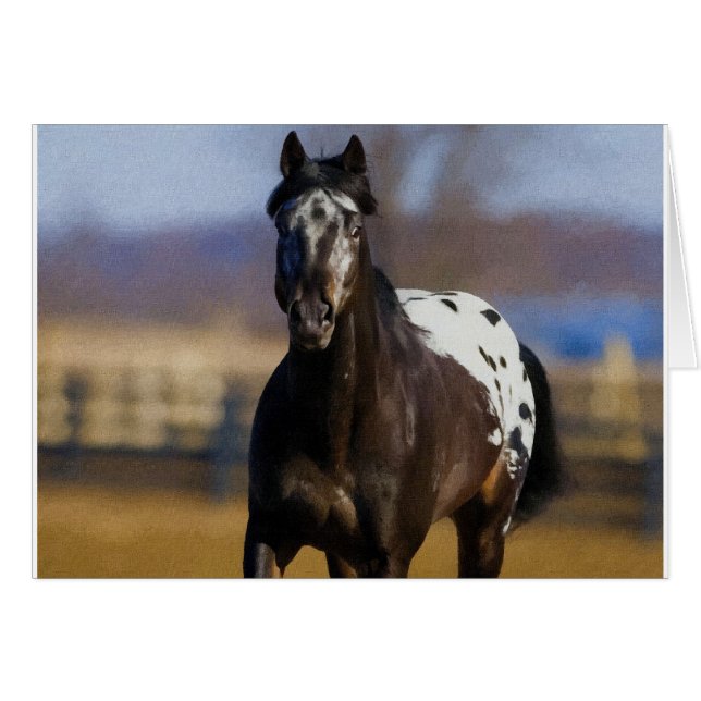 Lader (Voorkant Horizontaal)