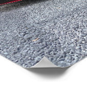 Lader 392 ScatPack Poster (Hoek)