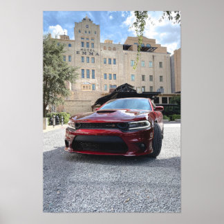 Lader 392 ScatPack Poster