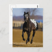 Lader Briefkaart (Voorkant / Achterkant)