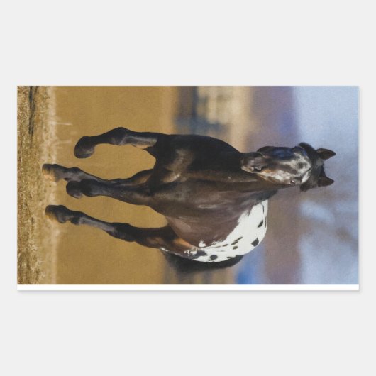 Lader Rechthoekige Sticker (Voorkant)