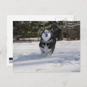 Lading door Briefkaart (Voorkant / Achterkant)