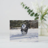 Lading door Briefkaart (Staand voorkant)