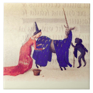 LADY AANPASSEN VALSTRIKKEN OP EENHOORN GEHOUDEN DO TEGELTJE