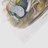 Lady Amherst's fazant-ontvlechting Tissuepapier (Detail)