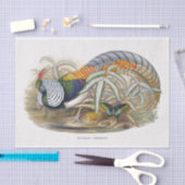 Lady Amherst's fazant-ontvlechting Tissuepapier (Craft)