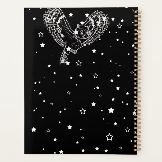 Lady and Night Owl (Dos)