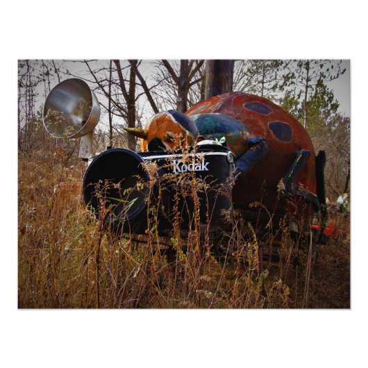 "Lady Behind the Camera" Photo Print (Devant)