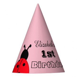  Lady Bug Birthday Party Pet, Ladybug Feesthoedjes