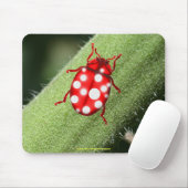 Lady Bug-cadeautjes voor bugglovers en tuinmannen Muismat (Met muis)
