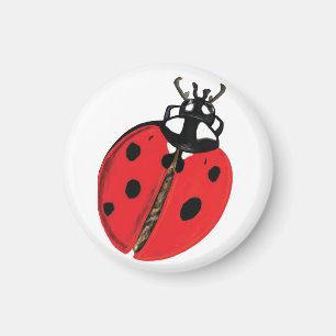Lady Bug Illustratie Magneet