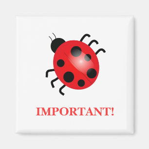 Lady Bug   Magneet