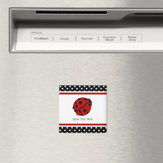 Lady Bug Magnet (In Situ (Lave-vaisselle))