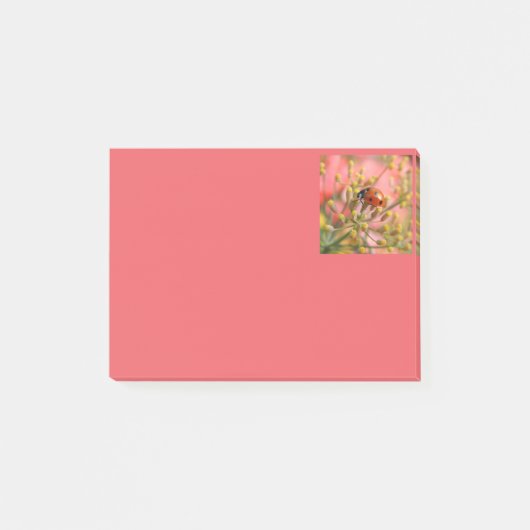 Lady Bug Notes (Voorkant)