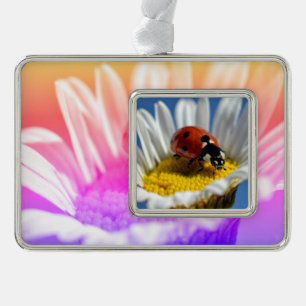 Lady bug op daisy Mok Muismat Poster Kerstmis O Verzilverd Kader Ornament