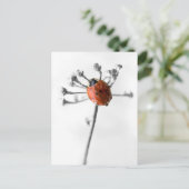 Lady Bug op Dill Flower met Dew Briefkaart (Staand voorkant)