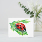 Lady Bug op een groen lef Briefkaart (Staand voorkant)