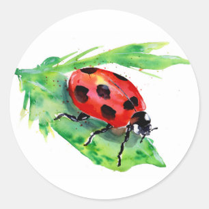 Lady Bug op een groene Waterverf met leder Ronde Sticker