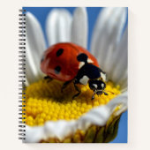 Lady bug op Mok Jigzaag Puzzle Teddy Bear Notitieboek (Voorkant)