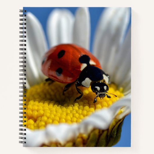 Lady bug op Mok Jigzaag Puzzle Teddy Bear Notitieboek (Voorkant)